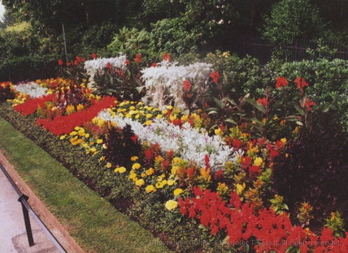 Flower display, Queen Mary's Garden, Regent's Park, London