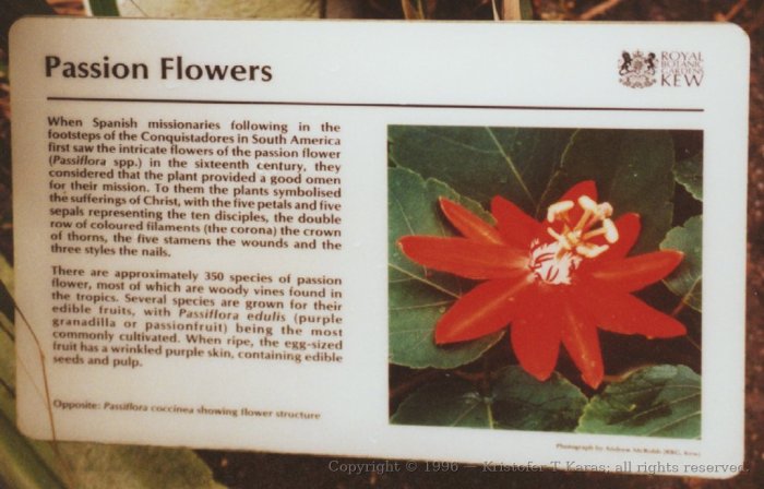Passion Flower exhibit sign, Royal Botanical Gardens, Kew, England
