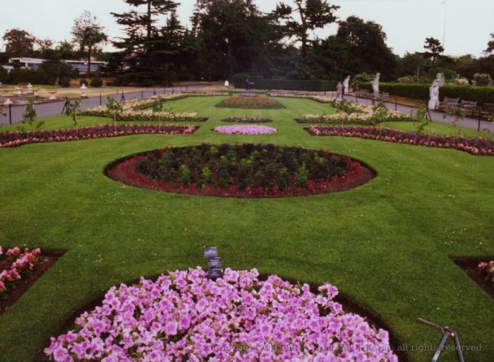 Violet flowers accent a green grassy garden, Royal Botanical Gardens, Kew