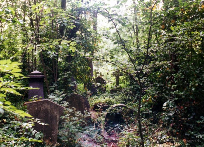 Untended graves in Highgate Cemetery, Highgate, London