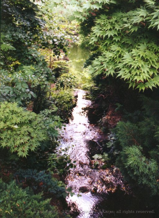 A brook, Waterlow Park, Highgate, London