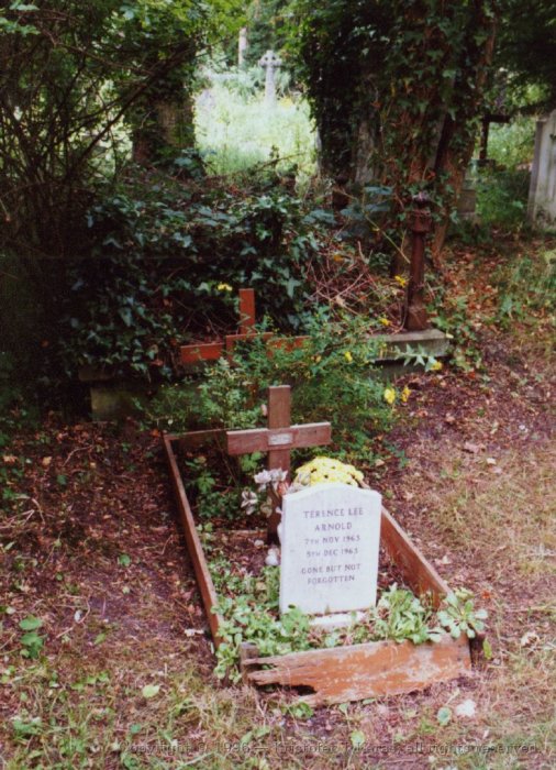 Grave of "Terrence Lee Arnold", Highgate Cemetery, London