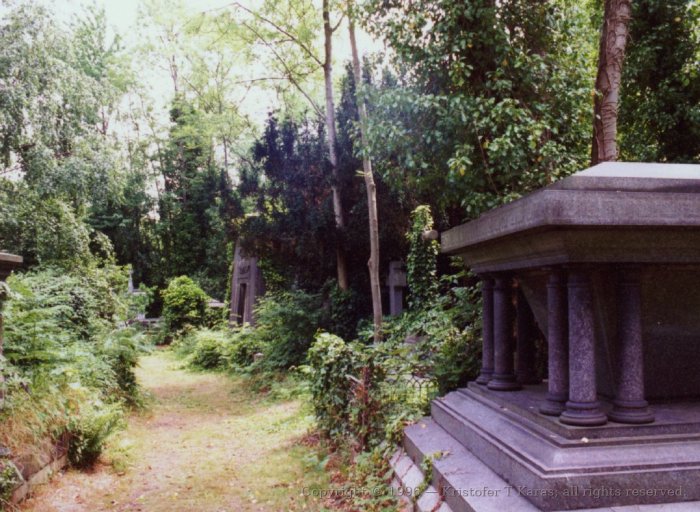 Foliage-lined path with monuments, Highgate Cemetery, Highgate, London