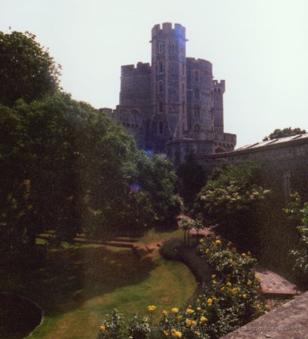 Trees on the grounds of Windsor Castle, with castle in background, England