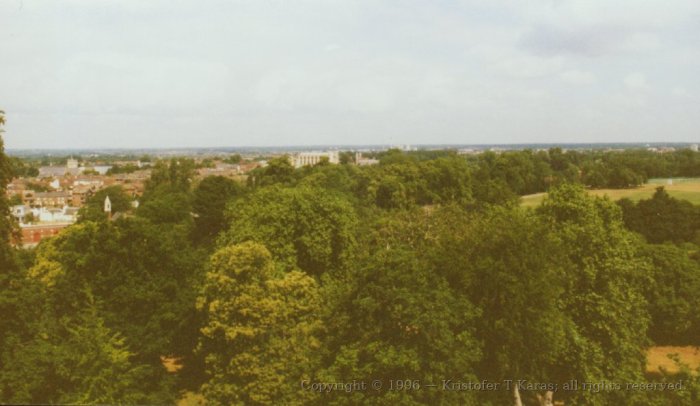 Trees and countryside as seen from atop Windsor Castle, England