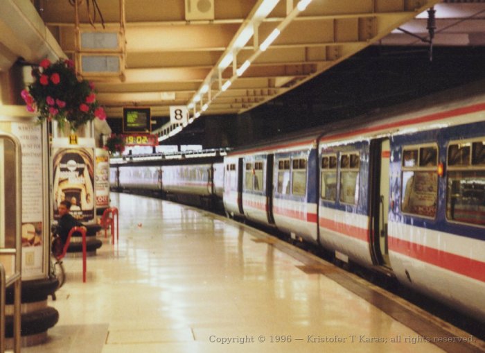 Warmly lit Euston station platform with flowers and commuter train, London