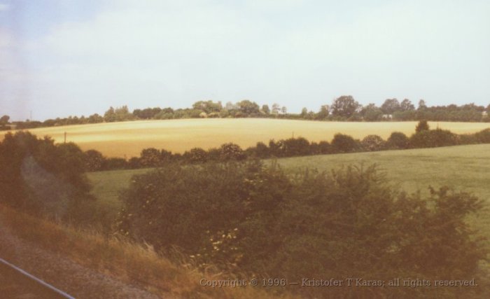 Pale yellow and green fields; Ireland