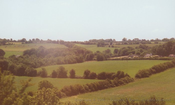 Yet more Irish fields, looking much like English downs