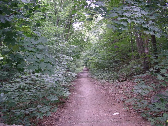 Unbuilt right-of-way of the Massachusetts Central Railroad