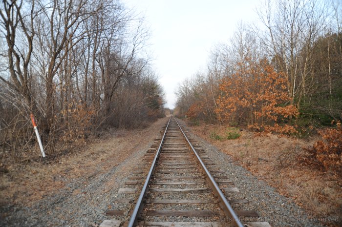 The tracks of the W&N are seen here looking northward