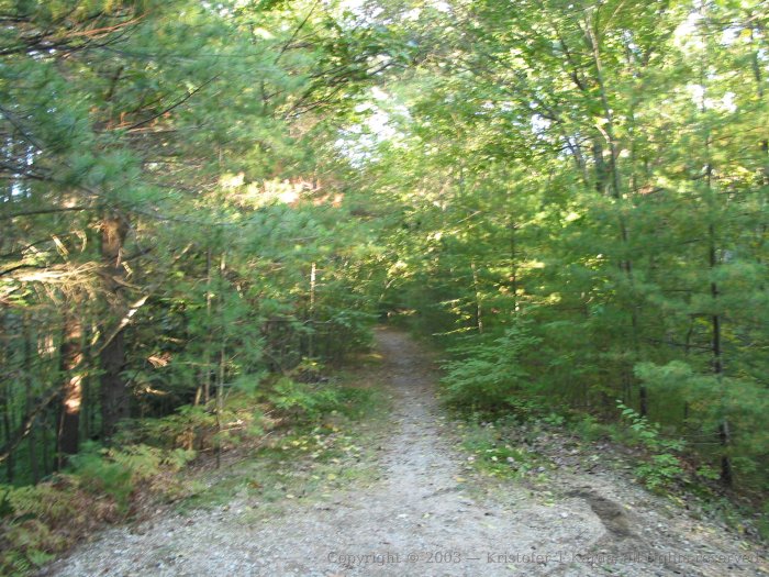 Looking north along the Massachusetts Central ROW at Quinapoxet