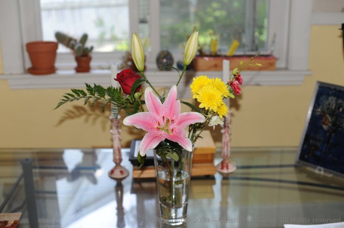 A test photo of my Nikon D700 taken atop the kitchen table