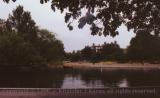 The duck pond in Regent's Park, London