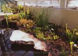 Carnivorous plants exhibit, Royal Botanical Gardens, Kew, England
