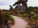 Garden walkway adjacent Princess of Wales Conservatory, Royal Botanical Gardens, Kew, England