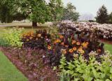 Mixed garden - lovely splash of color - Royal Botanical Gardens, Kew, England