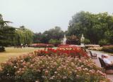 Flower display, Queen Mary's Garden, Regent's Park, London