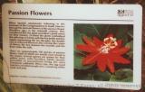 Passion Flower exhibit sign, Royal Botanical Gardens, Kew, England
