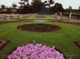 Violet flowers accent a green grassy garden, Royal Botanical Gardens, Kew
