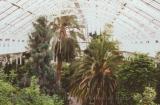 Top of the Temperate House, Royal Botanical Gardens, Kew, England