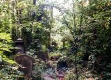 Untended graves in Highgate Cemetery, Highgate, London