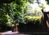 Swain's Lane, Highgate, London