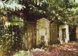 Dappled sunshine speckles a mausoleum-lined path, Highgate Cemetery, London
