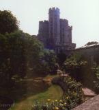 Trees on the grounds of Windsor Castle, with castle in background, England