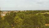 Trees and countryside as seen from atop Windsor Castle, England