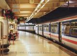 Warmly lit Euston station platform with flowers and commuter train, London