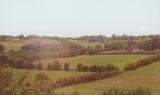 Yet more Irish fields, looking much like English downs