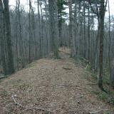 Photographs of whatever remains of the Massachusetts Central Railroad