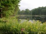 Pond adjacent unbuilt ROW of the Massachusetts Central