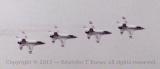 An image from a Hanscom AFB air show in the late 1980s